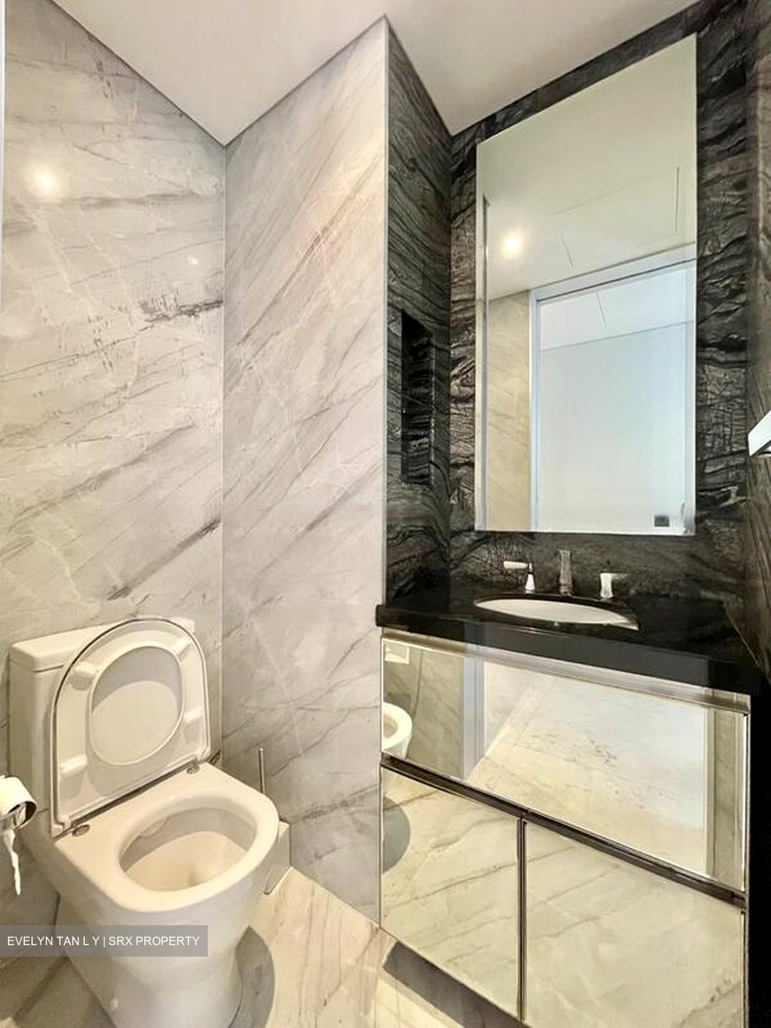 St. Regis Residences (D10), Apartment #454274891